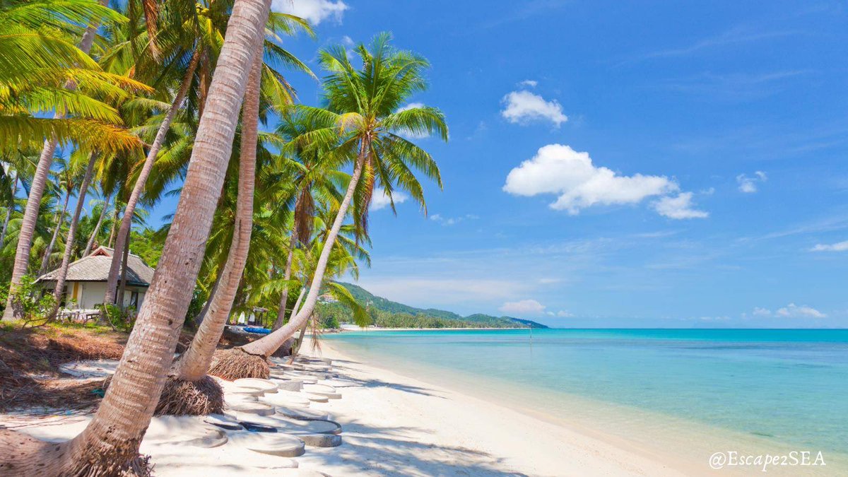 Escape2SEA's tweet photo. Adopt the pace of nature: her secret is patience.โ Ralph Waldo Emerson ๐ด๐
#Mindfulness #NatureLover #EscapeToPeace #samui #Thailand https://t.co/esQgUQDh1T
