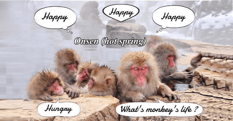 aneuve00916's tweet photo. https://t.co/MR8IOU5Fbo                     June11,2024

Onsen (hot spring), “Healing Oasis: Discovering the Tranquility and Rejuvenation of Onsen”

#onsen  #hot spring https://t.co/yDNt0OoTmJ