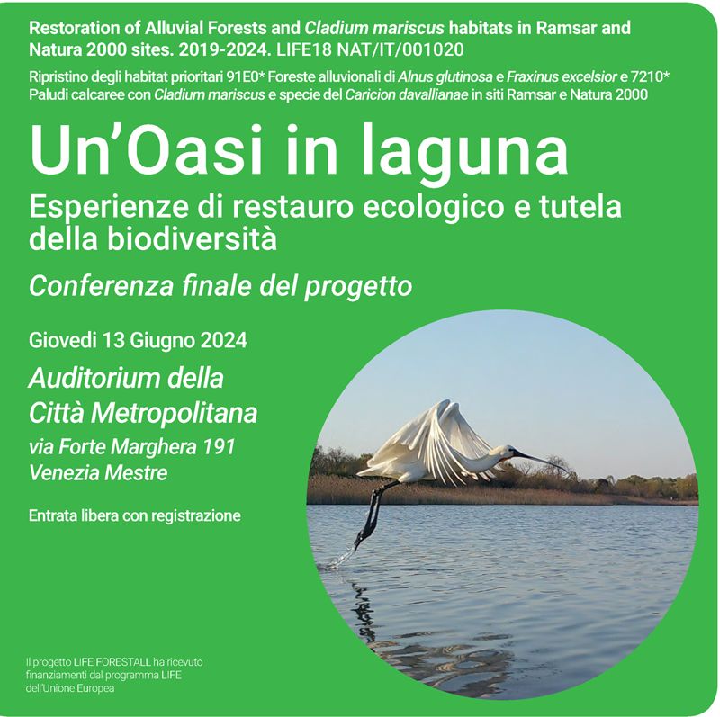 LifeForestAll's tweet photo. Vieni alla Conferenza di LIFE FORESTALL giovedì 13 giugno a Mestre
La partecipazione è libera previa registrazione al link:
https://t.co/8WnMbRBLiI 
@WWFitalia #Natura2000 @LIFEProgramme #LIFEProject @cinea_eu @RegioneVeneto @venetoagricoltu @comunevenezia @CaFoscari @ispra_press https://t.co/bO69U7p4fb