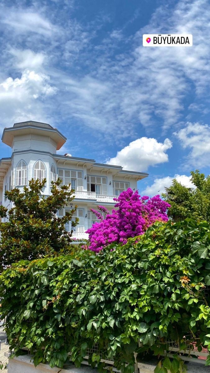 Bir replikte
"Bir şeyin sana ait olduğunu anlamak için onu özgür bırak" diyor
Bende özgür bırakıyorum
Eğer bana aitse gerçekten benimle olmanın bir yolunu bulacaktır
Yok eğer bulmuyorsa zaten hiç bana ait olmamıştır.