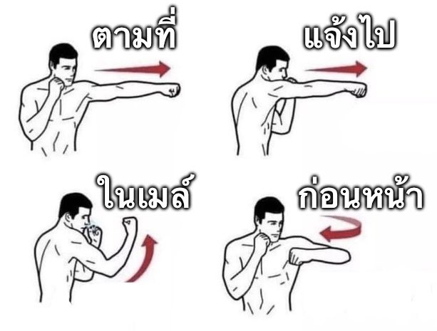 หมีเคน tweet media