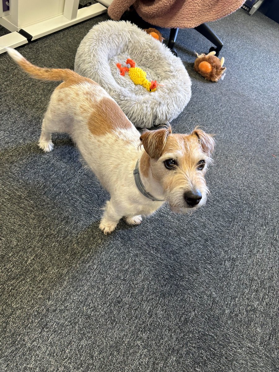 Chapter Mental Health tweet media