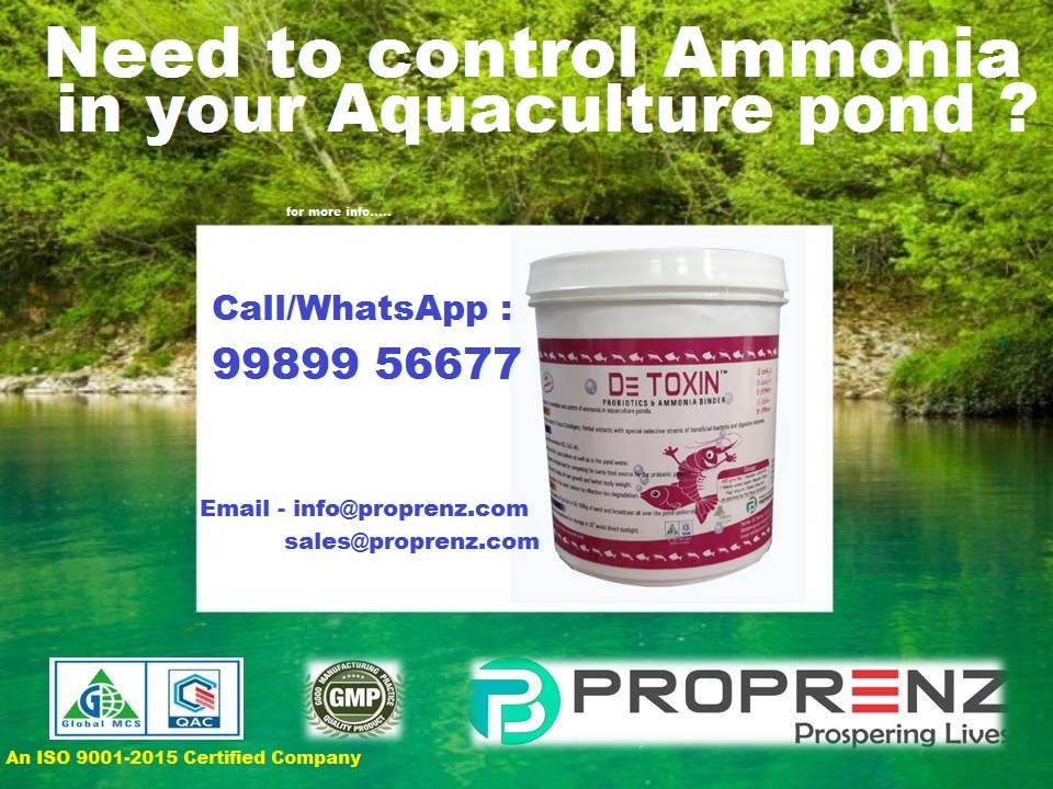 Need to control ammonia in your aquaculture pond ?
Struggling with ammonia in your aquaculture pond ? Discover DE-TOXIN ! Our Yucca-based solution adsorbs toxic gases, eliminates ammonia, reduces sludge, and improves feed intake for healthier, faster-growing aquatic life.