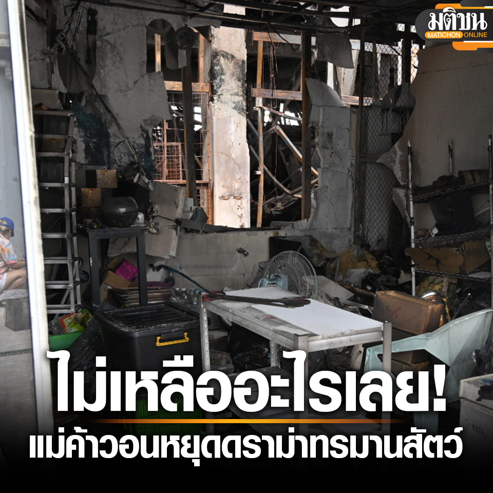 MatichonOnline's tweet photo. พ่อค้าแม่ค้า วอนหยุดดราม่าทรมานสัตว์ ขายมาเป็น 10 ปี ไม่มีทางไม่รัก เสียหายสูงสุดกว่า 5 ล้าน

อ่านข่าว - https://t.co/YTfTjanDYd
.
#มติชนออนไลน์ https://t.co/QlgFrhFW0h