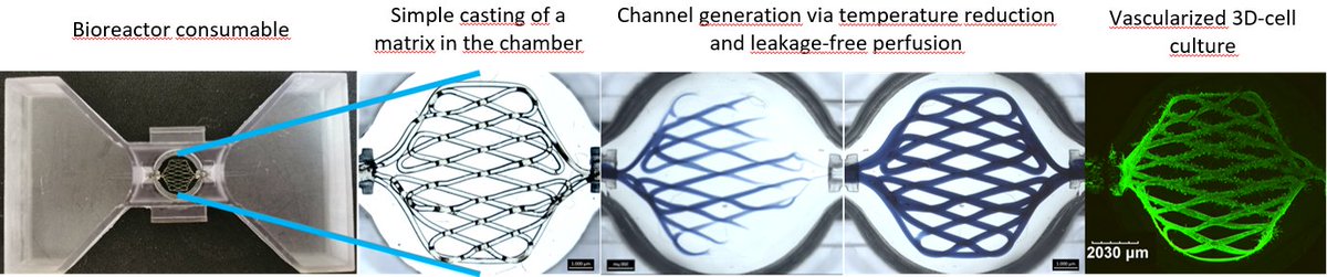 Vasc-on-Demand tweet media