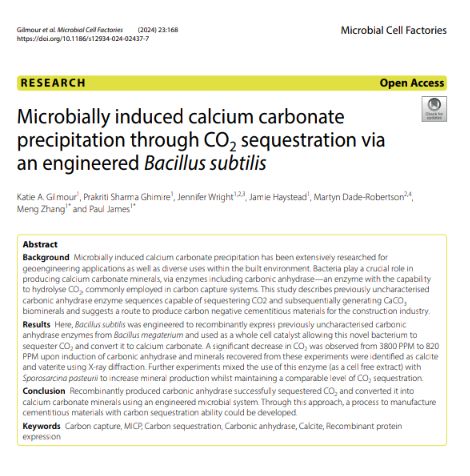 KatieGilmour6's tweet image. Very happy to share our newest publication in which we use carbonic anhydrase to sequester co2 and store it as calcium carbonate 

Now available in Microbial Cell Factories @BioMedCentral
eur02.safelinks.protection.outlook.com/?url=https%3A%…

#engineeringbiology
#micp
#bacillus