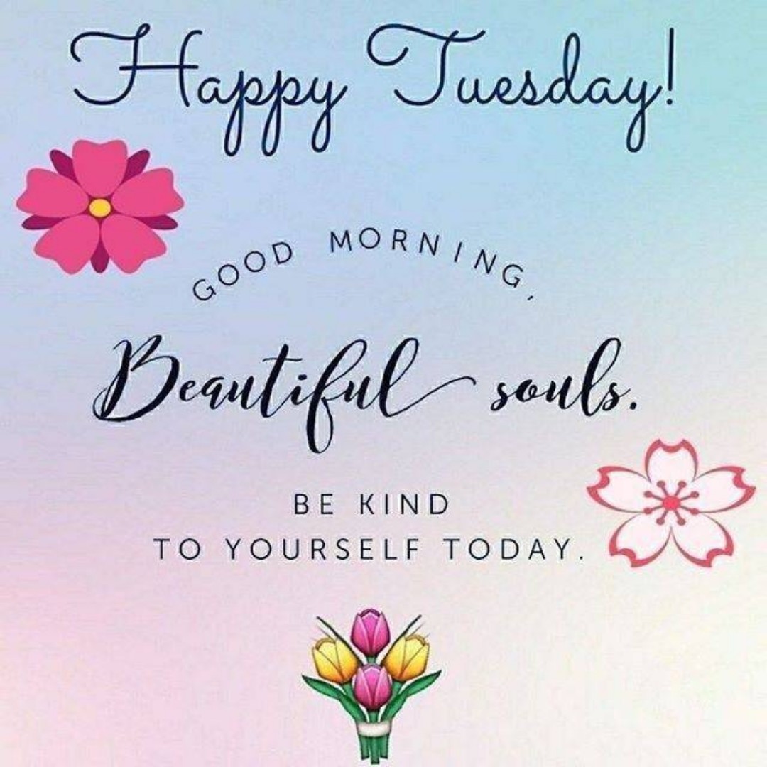 JeanlouiexJean's tweet image. Goodmorning ⚘️Friends 🌿🌺
🌿⚘️Happy glorious Tuesday 
Hoping alls good Today and you 
⚘️🌿A Beautiful time🌿⚘️
#LovingOthers #BeingKind 
#Respectful #JoyTrain 🌿⚘️