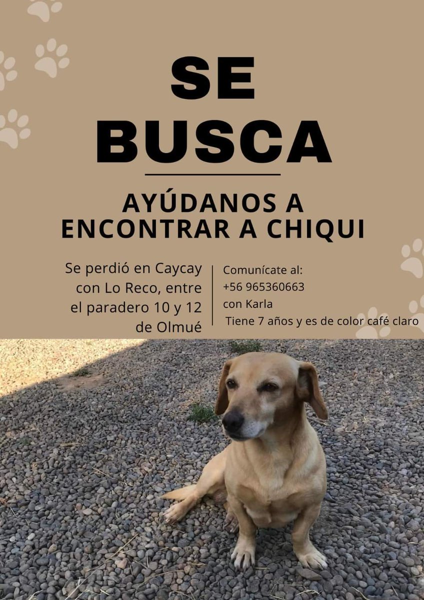 Buscan a Chiqui en #Olmue 
Favor RT!