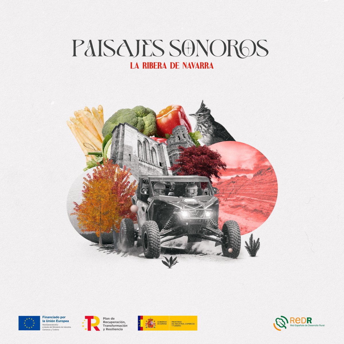 El 13/06 nuevo episodio de Paisajes Sonoros de la Ribera de Navarra. Avance del podcast: acortar.link/WTOc5q
Paisajes Sonoros una idea original de la <a href="/redespanola/">REDR</a>   , financiada por la Unión Europea-Next Generation EU, a través del Ministerio de Industria,Comercio y Turismo.