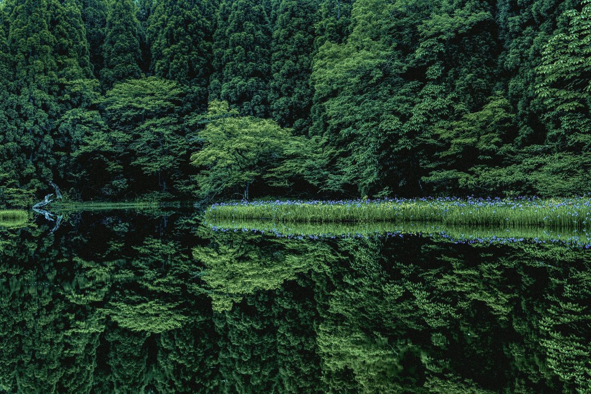 Mirror World