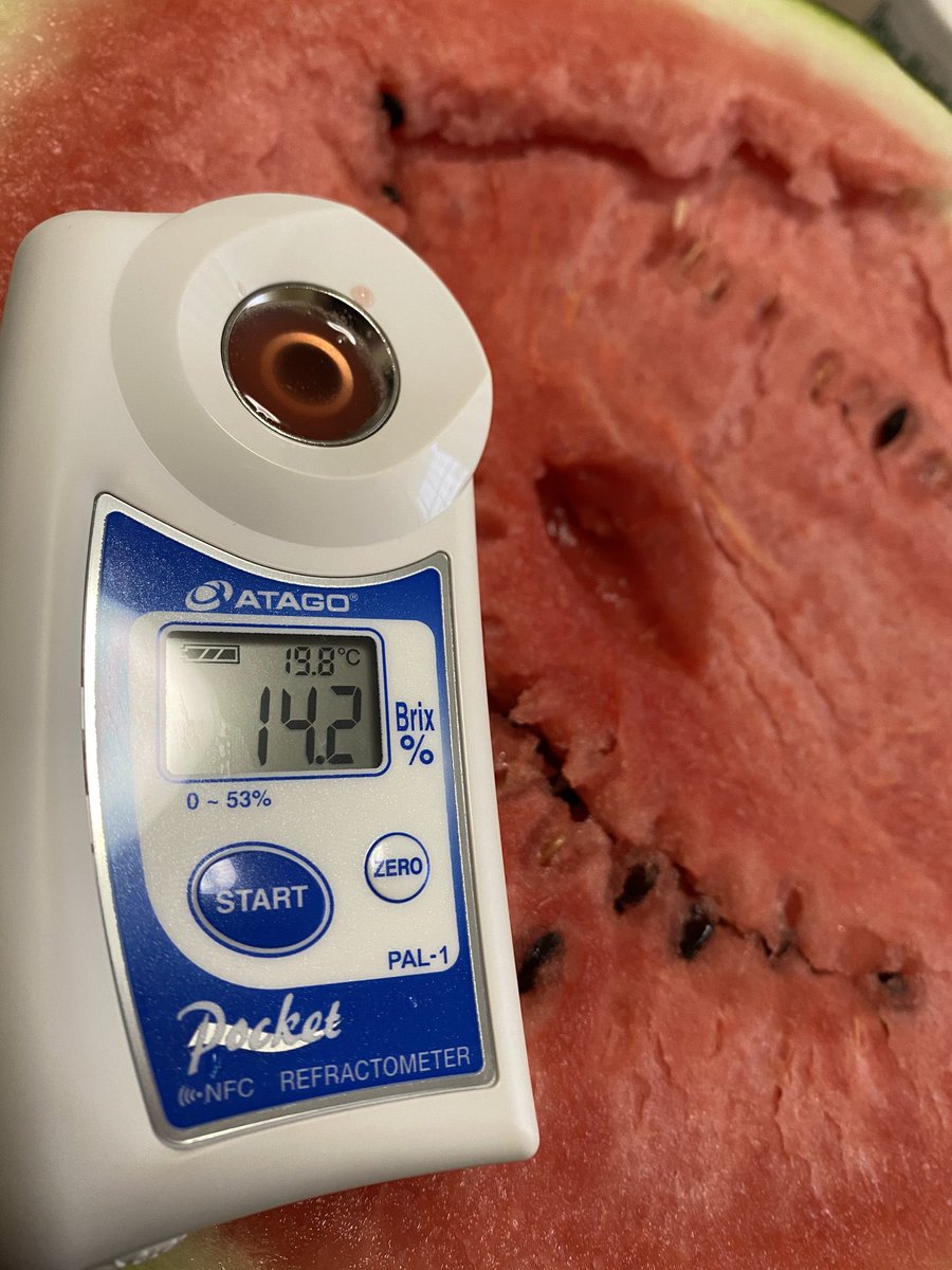 taiseinouen's tweet image. 第102回プレゼント企画🍉

抽選で1名様に“特選”大玉スイカ 🍉
8〜9Kg1玉入りをプレゼント致します。

最高糖度は14.2を記録✨
すでに1200玉を超えるご注文を頂いてます✨
沢山のご応募お待ちしてます✨

☆応募方法☆
1️⃣@taiseinouenをフォロー
2️⃣このツイートをRT

※送料も無料です…