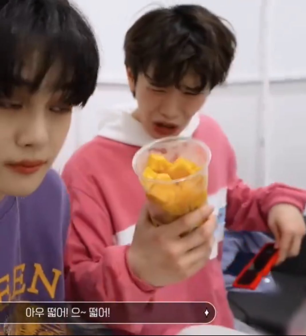 taeraezero's tweet photo. taerae's judging face and gyuvin is always at the crime scene https://t.co/kzqHPisPzQ