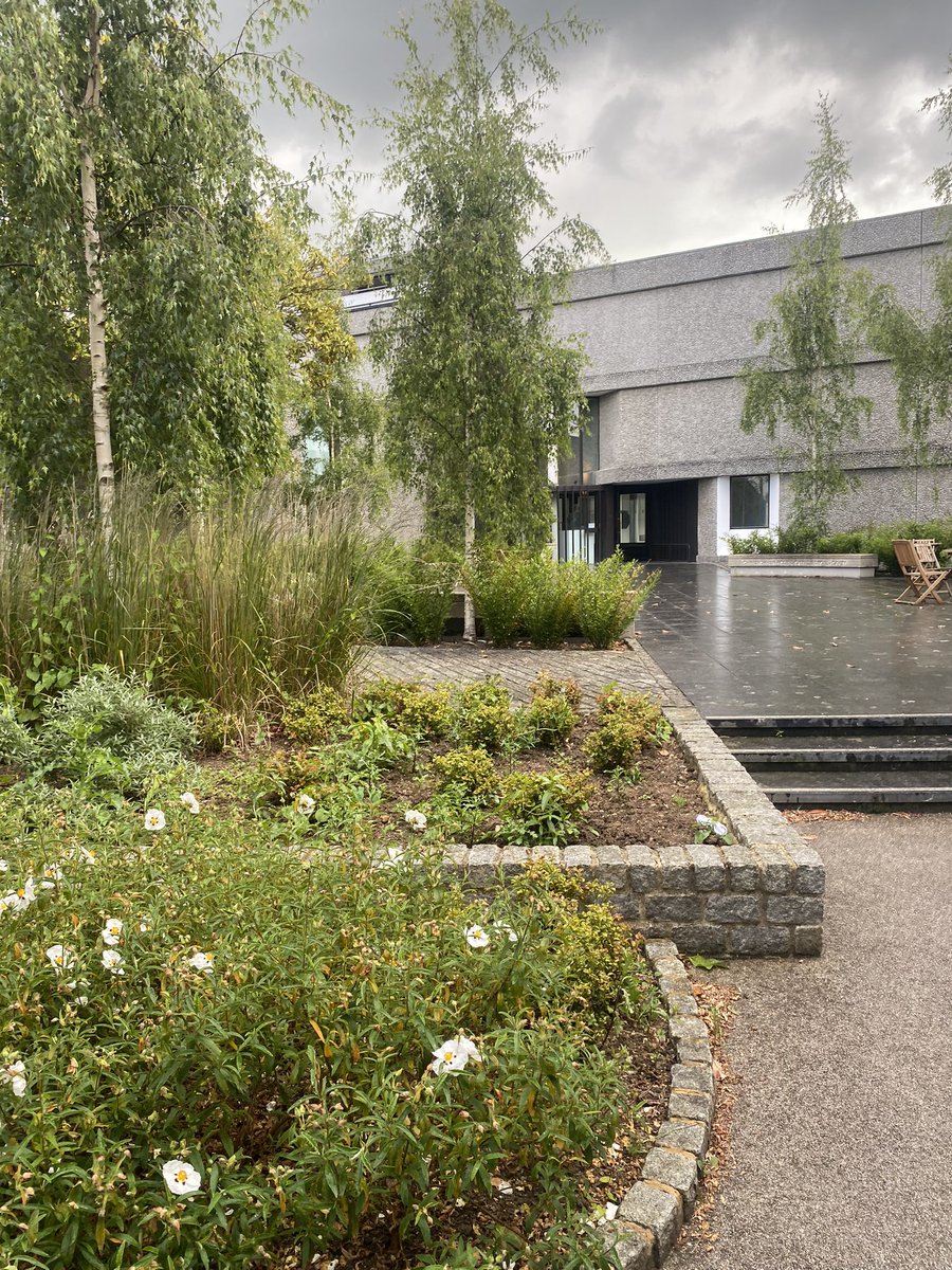 Cardiac Imaging tweet media