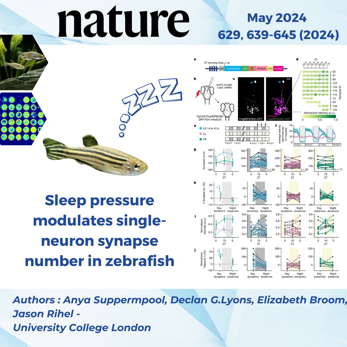 ViewPoint Behavior Technology tweet media