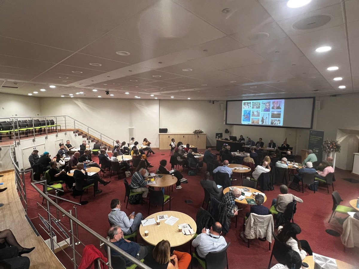 Peace Studies & International Development tweet media