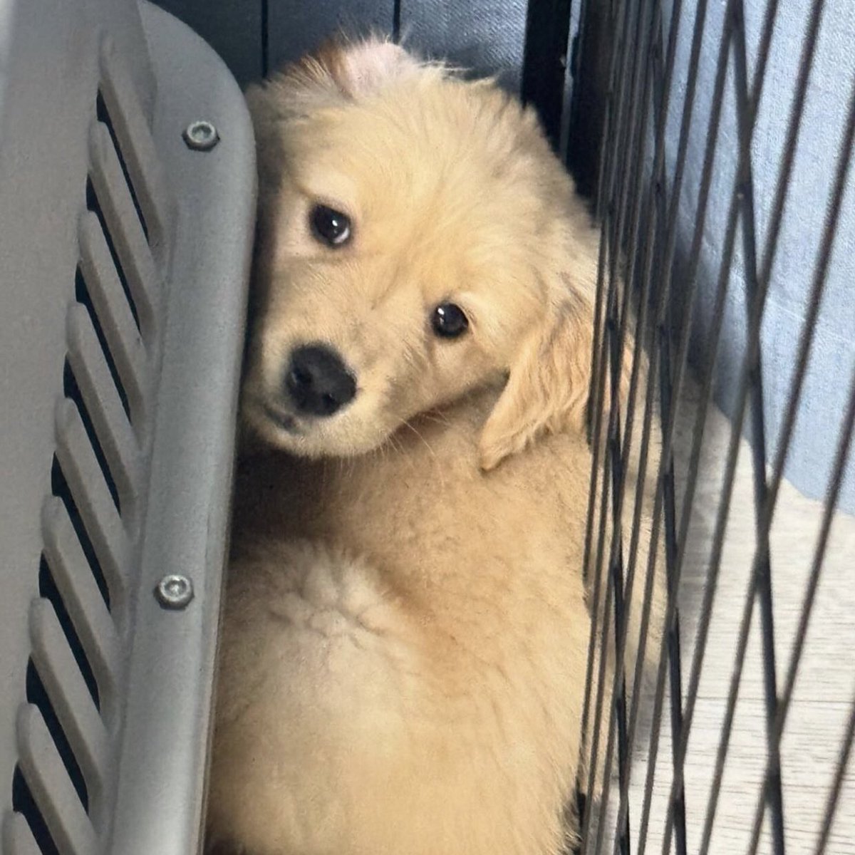 takemybear's tweet photo. ก้ง้อก่อนสิ เทอทำเค้าเสียใจนะ https://t.co/00QwQjvdGv