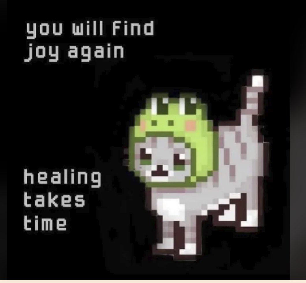 RespectfulMemes's tweet photo. https://t.co/GAc5cogDgN