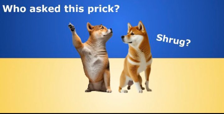 The Ghost of Pasha Fella tweet media