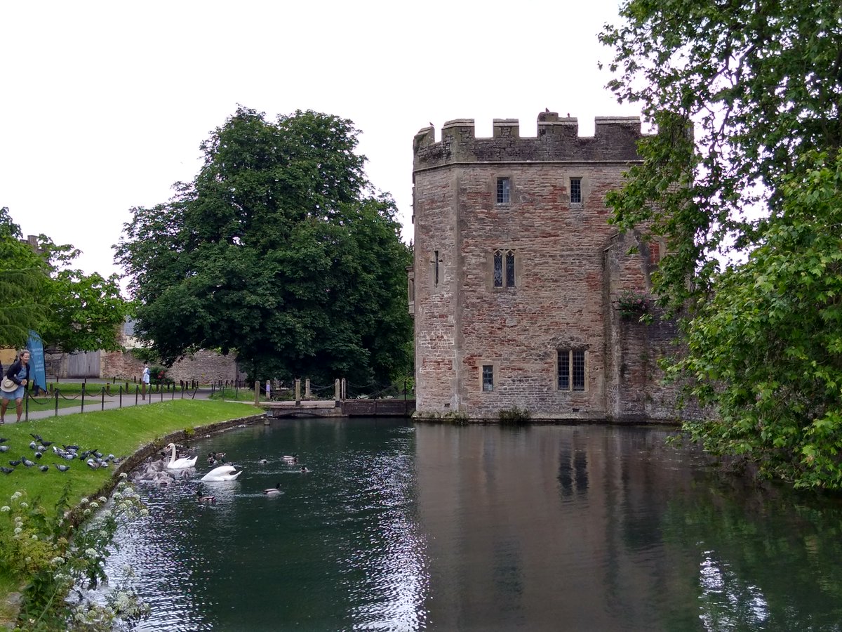 AlisonHindley's tweet photo. Sunday day trip to Wells #swans #cathedral #charity #bustravel #itiwrg #translatorsandinterpreters https://t.co/vKyd1h32ge