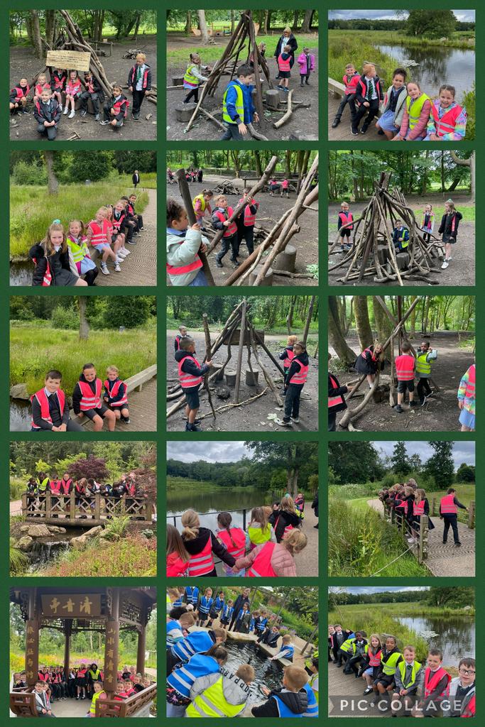 Mesne Lea (@mesne_lea) on Twitter photo Year 2 are having a wonderful day exploring at <a href="/RHSBridgewater/">RHS Bridgewater</a>. They have built dens, learnt about plants and insects and had a lovely walk all before lunch! <a href="/MrsFosterTweets/">Mrs Foster</a> <a href="/Mrs_Stott1/">Mrs Stott</a> Year 2 are having a wonderful day exploring at <a href="/RHSBridgewater/">RHS Bridgewater</a>. They have built dens, learnt about plants and insects and had a lovely walk all before lunch! <a href="/MrsFosterTweets/">Mrs Foster</a> <a href="/Mrs_Stott1/">Mrs Stott</a>