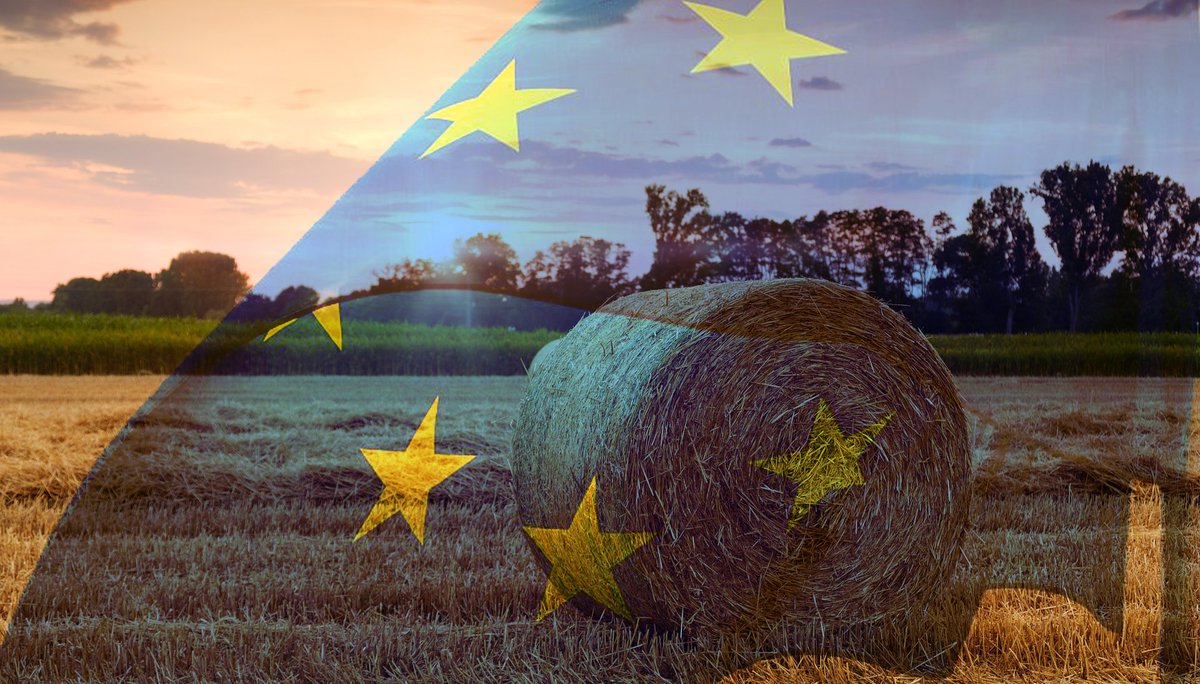 Copagri's tweet photo. #Europee: buon lavoro e pieno sostegno ai nuovi eletti usciti dalle urne elettorali.

#Battista, pronti a portare avanti confronto su manifesto #Copagri; futuro #agricoltura italiana e UE sono indissolubilmente legati.

https://t.co/umsG53On6x https://t.co/QpUsHuwFtD