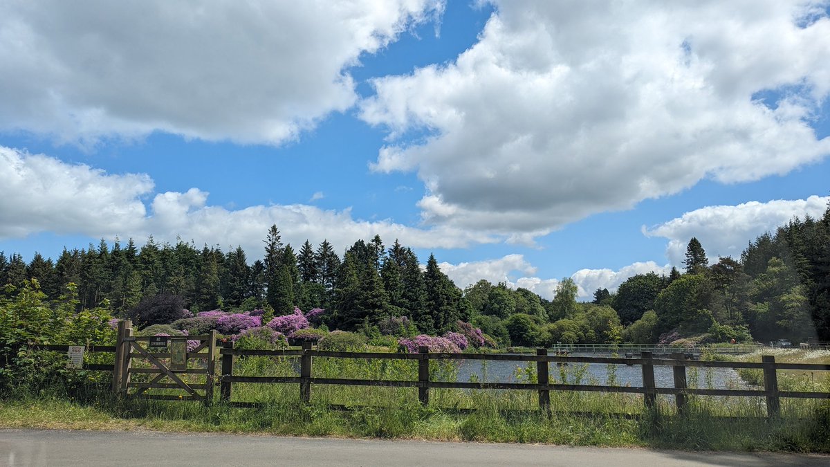 A happy moment with my dear Mum.
#BlueMind too ♥️