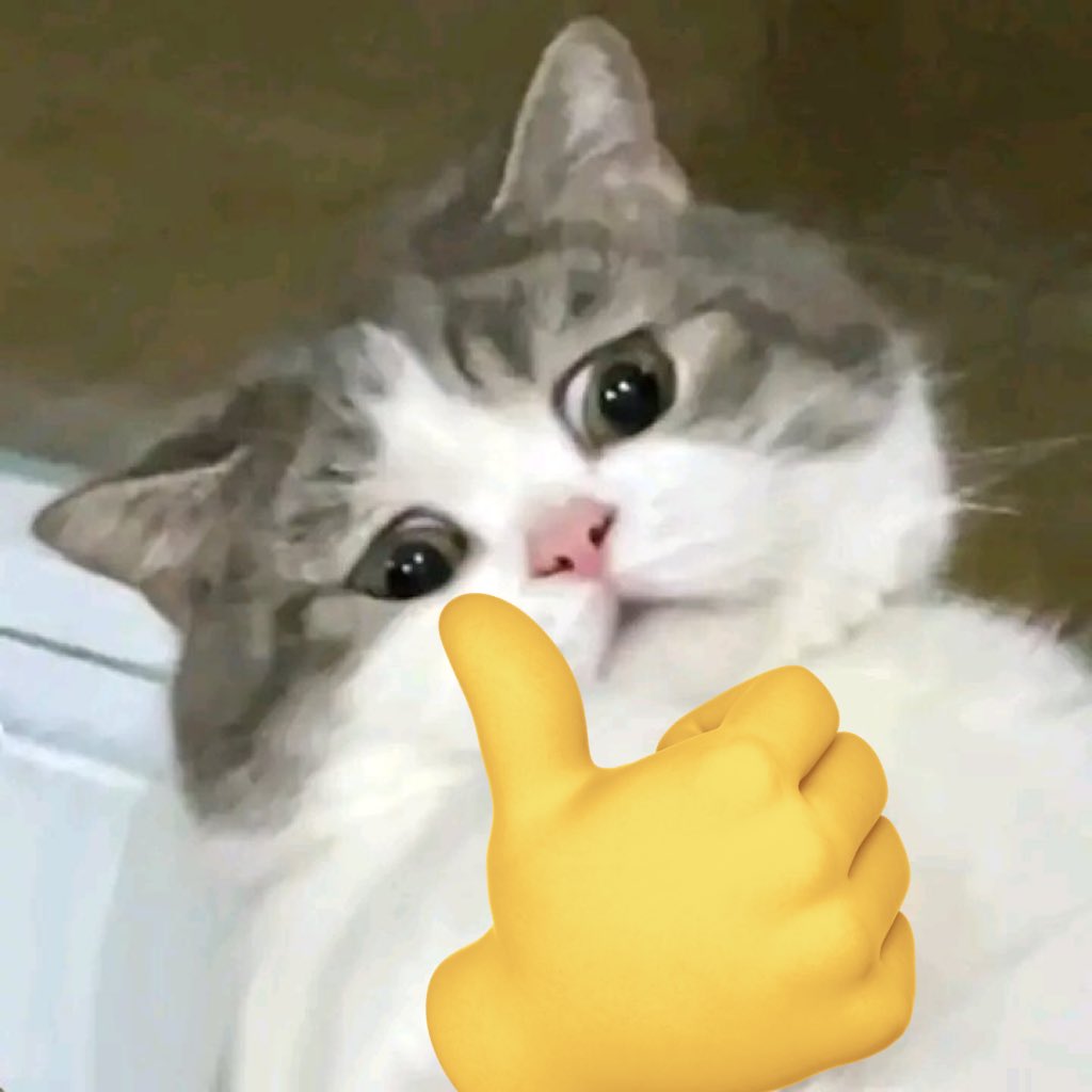 EN-lì인 (Late reply)🐈 tweet media