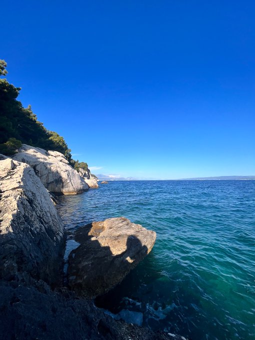 Summer vibes are in full effect https://t.co/JB9C5yVe5W<a href="/tag/realloyalfans"class="tags"><span>#realloyalfans</span></a>