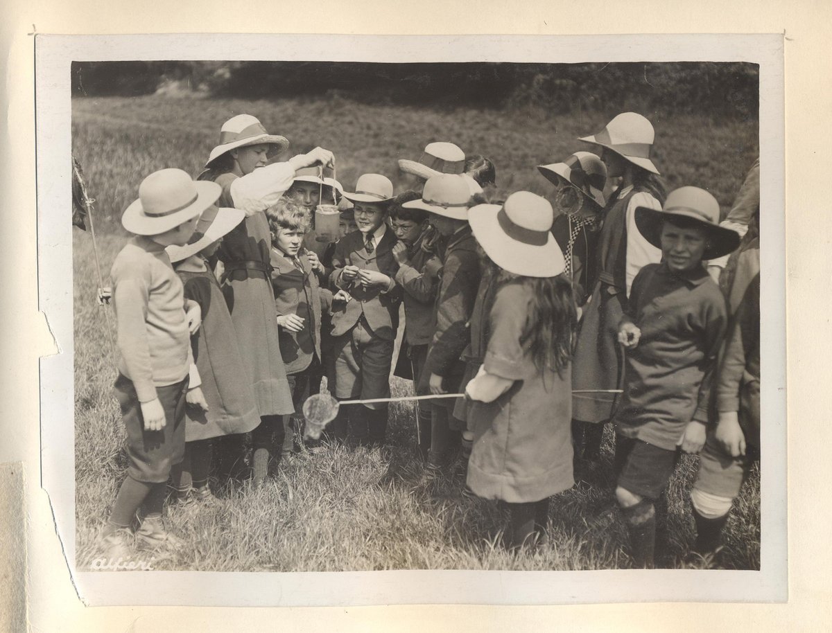 The King Alfred School Archives tweet media