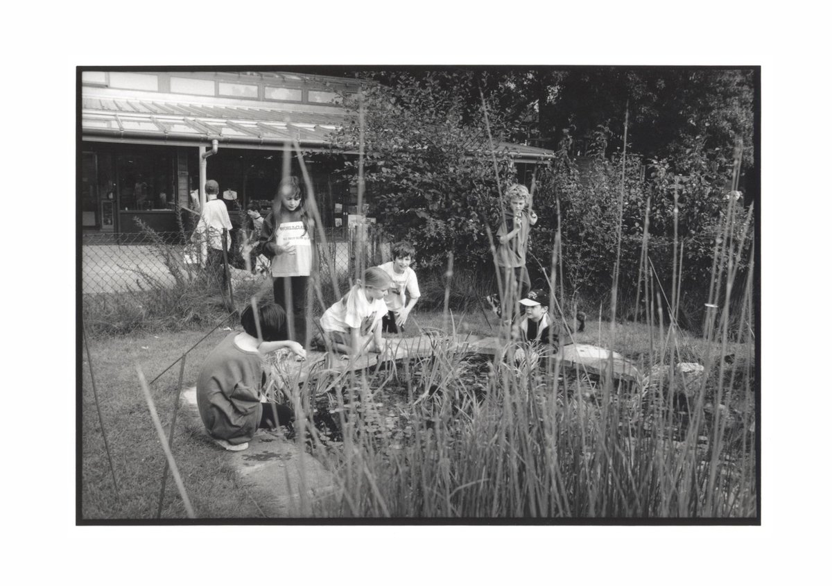 The King Alfred School Archives tweet media