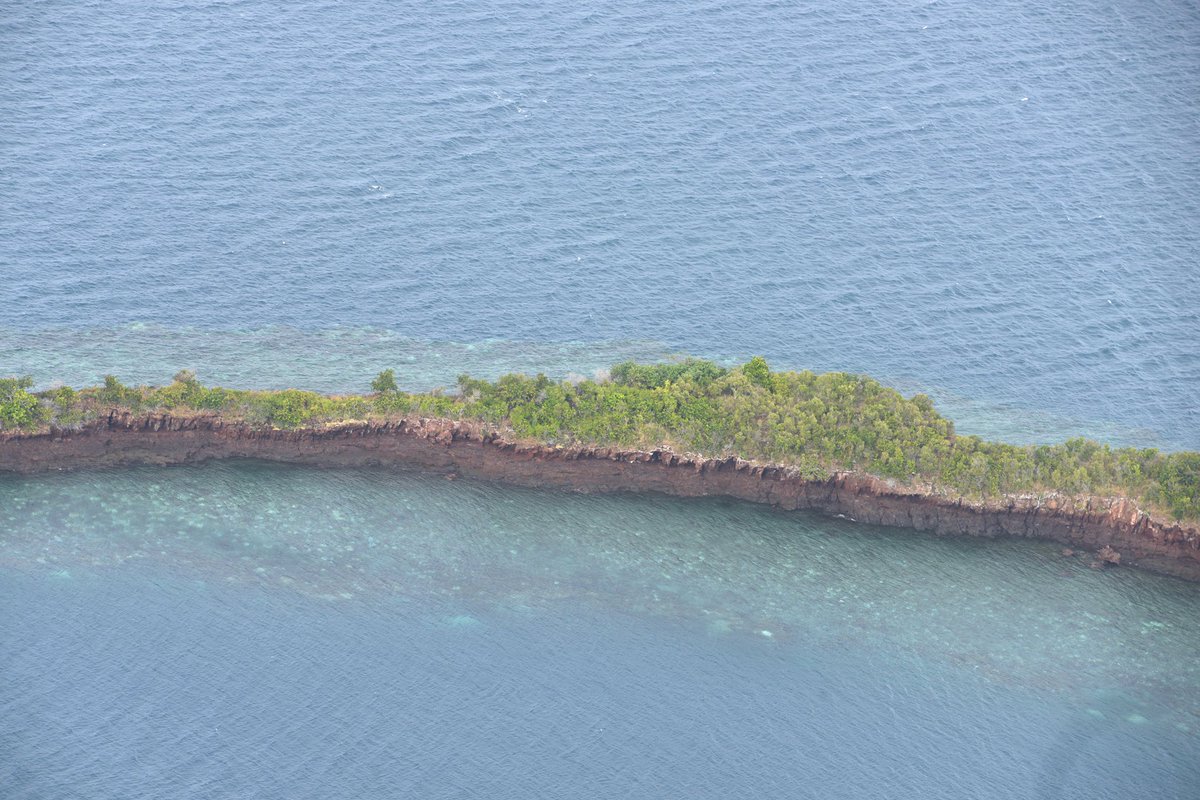 HeudierM's tweet photo. Delighted to have taken part for the first time in the monthly monitoring of the White-tailed Tropicbird (Phaethon lepturus) colony on the islet of Pouhou  🏝 as part of my position within the GEPOMAY association (Group for the study and protection of birds in Mayotte). https://t.co/Vugb1B2AOA