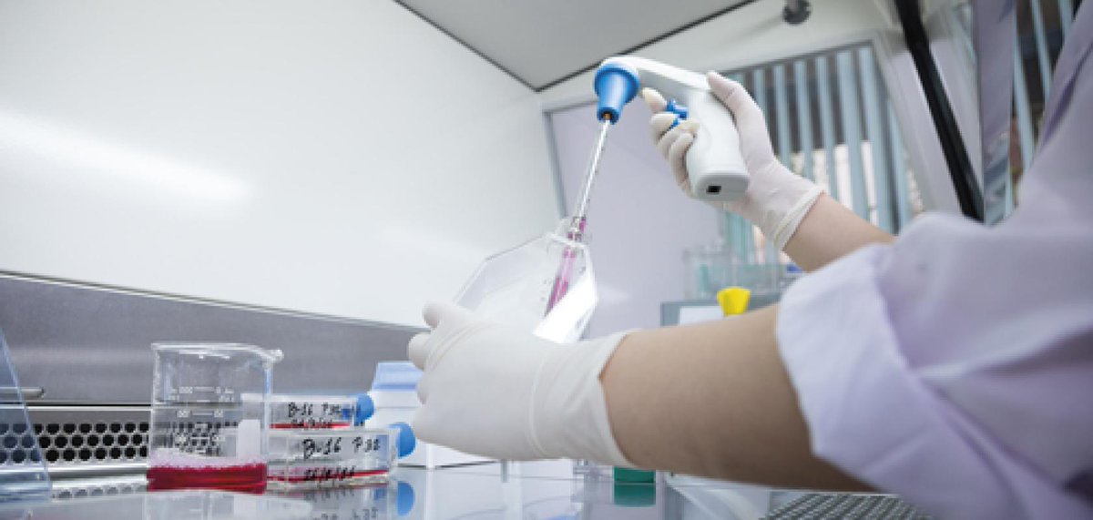 Hoyack LLC tweet media