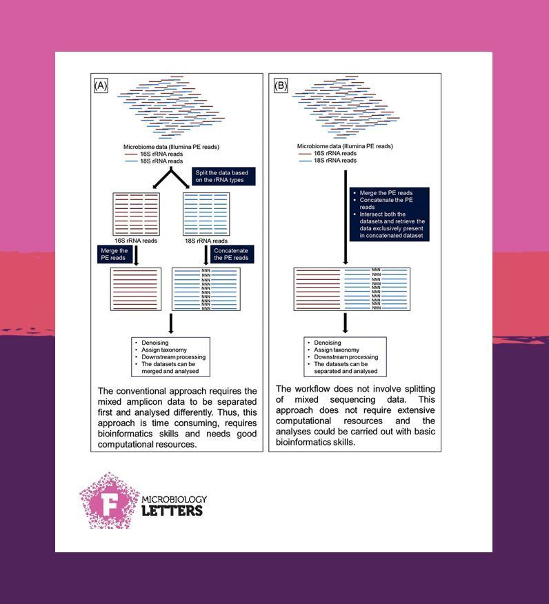 FEMS (@femsmicro) on Twitter photo Profiling microbial diversity is key to understanding #ecosystems 🦠🧬💻
<a href="/MeganathanPR/">Meganathan PR</a> presents a new workflow for analyzing mixed #sequencing data from amplicons, saving time and resources.
#FEMSMicrobiolLett #Microbiome #Bioinformatics
👇
academic.oup.com/femsle/article… Profiling microbial diversity is key to understanding #ecosystems 🦠🧬💻
<a href="/MeganathanPR/">Meganathan PR</a> presents a new workflow for analyzing mixed #sequencing data from amplicons, saving time and resources.
#FEMSMicrobiolLett #Microbiome #Bioinformatics
👇
academic.oup.com/femsle/article…