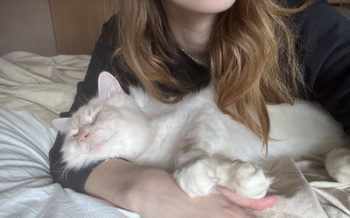 My best boy in the whole big world love u Haddie kiss kiss