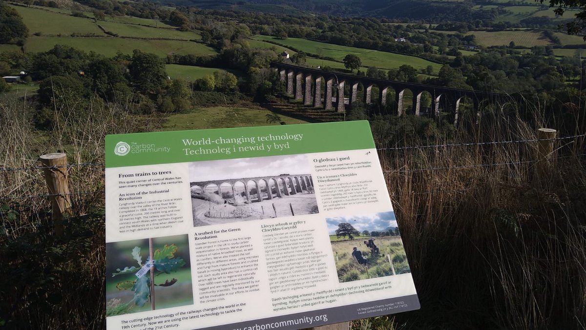 HeartWalesLine's tweet photo. Celebrate the #GreatBigGreenWeek and enjoy a beautiful Meadow Walk at Glandwr Forest with @TheCarbonCom 🌱🥾

On June 15 @TheCarbonCom will be joined by two experts for a guided #meadowwalk and tour of their #carbonstudy. Registration is essential 📲 https://t.co/vJcTtxQpCb https://t.co/HsTCqpEin3