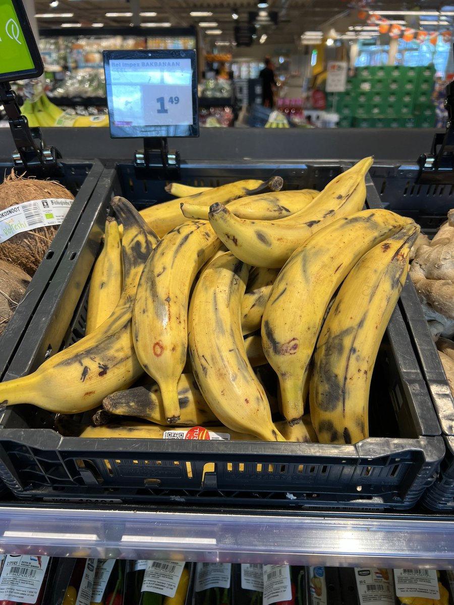 DrBananaGarcia's tweet photo. This type of happiness happens rarely in Dutch supermarkets. ❤️ 🍌
#tajadas #platanoamarillo https://t.co/9yVP6inswd