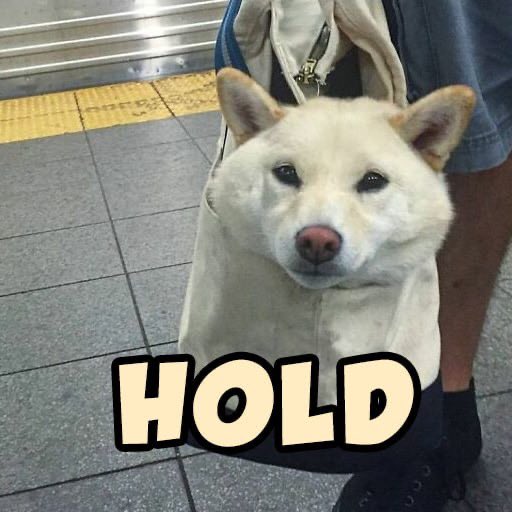 Kenwayyyy19's tweet photo. @EricCryptoman @EuroCupInu Grab some @baginsolana for the #Meme culture
$BAGIN already has $WIF whales holding the floor.
#DogInBag #BAGIN https://t.co/qv5nd2q5tF