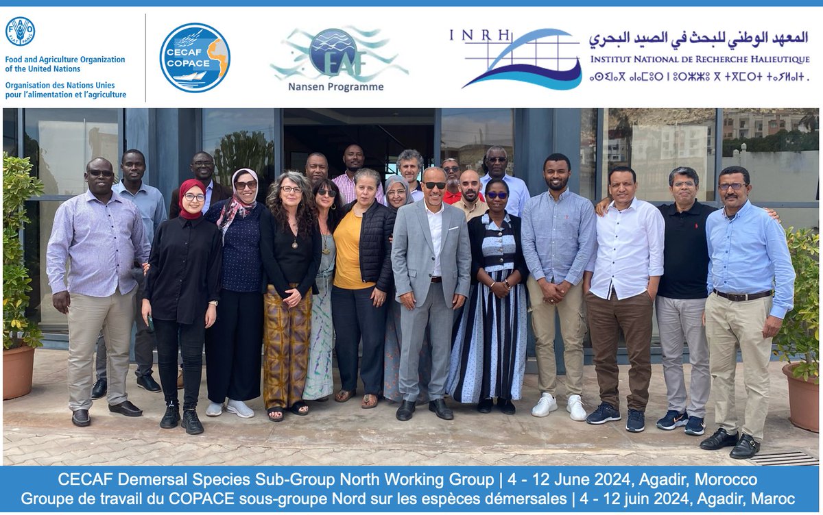 FAO_CECAFCOPACE's tweet image. 🌍Happening now: #CECAF Demersal Species Sub-Group North Working Group 2024

Supported by the #EAFNansen Programme, fisheries scientists meet at the #INRH, Morocco to:

🔍Review demersal species capture data
📊Assess fish stocks
🦑Set stock management recommendations