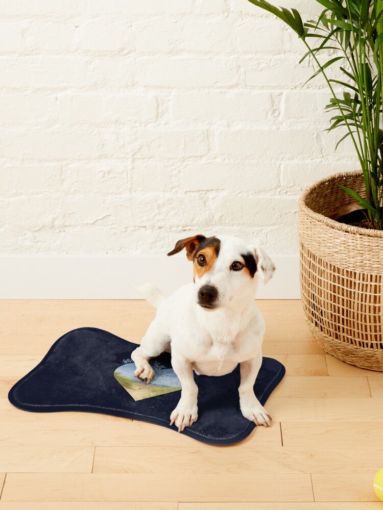 LifeMyriad's tweet image. Holkham Beach Heart dog mat and pet blanket.

Worldwide delivery.

25% off - offer ends soon.

redbubble.com/shop/ap/152160…

#Holkham #Norfolk #dogmat