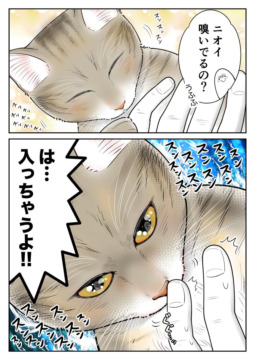 インサイド the ノーズホール 