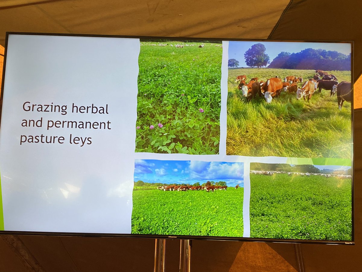Talking about his journey into regen ag <a href="/farmer_richiet/">Rich Thomas 🏴󠁧󠁢󠁥󠁮󠁧󠁿🇬🇧🏴󠁧󠁢󠁷󠁬󠁳󠁿</a> tells us the positive benefit it’s had on the health of his animals, the soil, the insect population and his family 👏🪲 #DungBeetleConf <a href="/yeovalley/">Yeo Valley</a> <a href="/first_milk/">First Milk</a> <a href="/FarmCO2Toolkit/">Farm Carbon Toolkit</a>