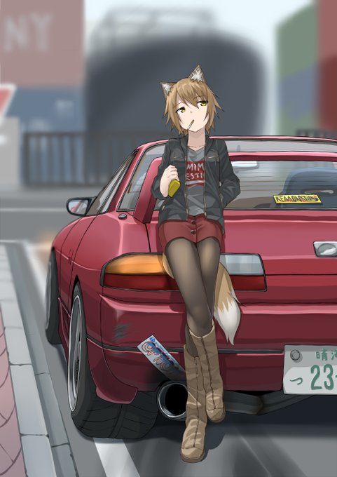 #これを見た人は赤が入ってる画像を貼れ
実は圧倒的に赤い車描いてる率が高い 