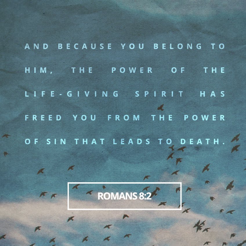 transformalife2's tweet photo. Scripture of the Day

https://t.co/4WbYjsCp8V

#power #freedom #life #tuesday #tuesdaytransformation #Jesus  #sermon #scriptureoftheday #bibleverse  #Biblestudy #inspiration #transform #wisdom #holy #God #transformation #imagemakers https://t.co/Xh4Do5zL1Z