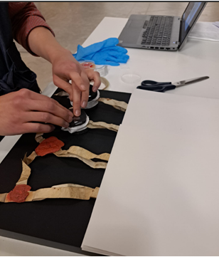 hofvanbusleyden's tweet photo. Wat gebeurt er met een tentoonstelling als die is afgelopen?

Het grootste deel van de objecten wordt ingepakt en teruggezonden naar hun eigenaars, van de grote schilderijen tot de kleinst verpakte zegels.

Bekijk het in deze behind-the-scenes foto’s!
#mechelen #art https://t.co/eYxtJtMjV6