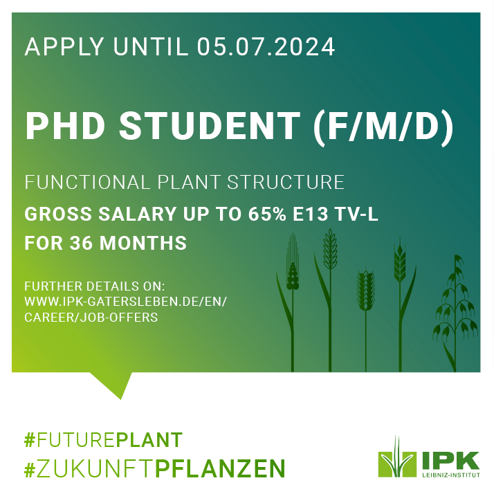 LeibnizIPK's tweet photo. The @dfg_public  Emmy Noether group “Functional Plant Structure” at @LeibnizIPK studies mechanisms of barley stem elongation and grain yield determination. If you have experience in genetic analysis and map-based cloning, we have a job offer!
➡️Read more: https://t.co/vpjji2sFCe https://t.co/SUi9F0Ss9j
