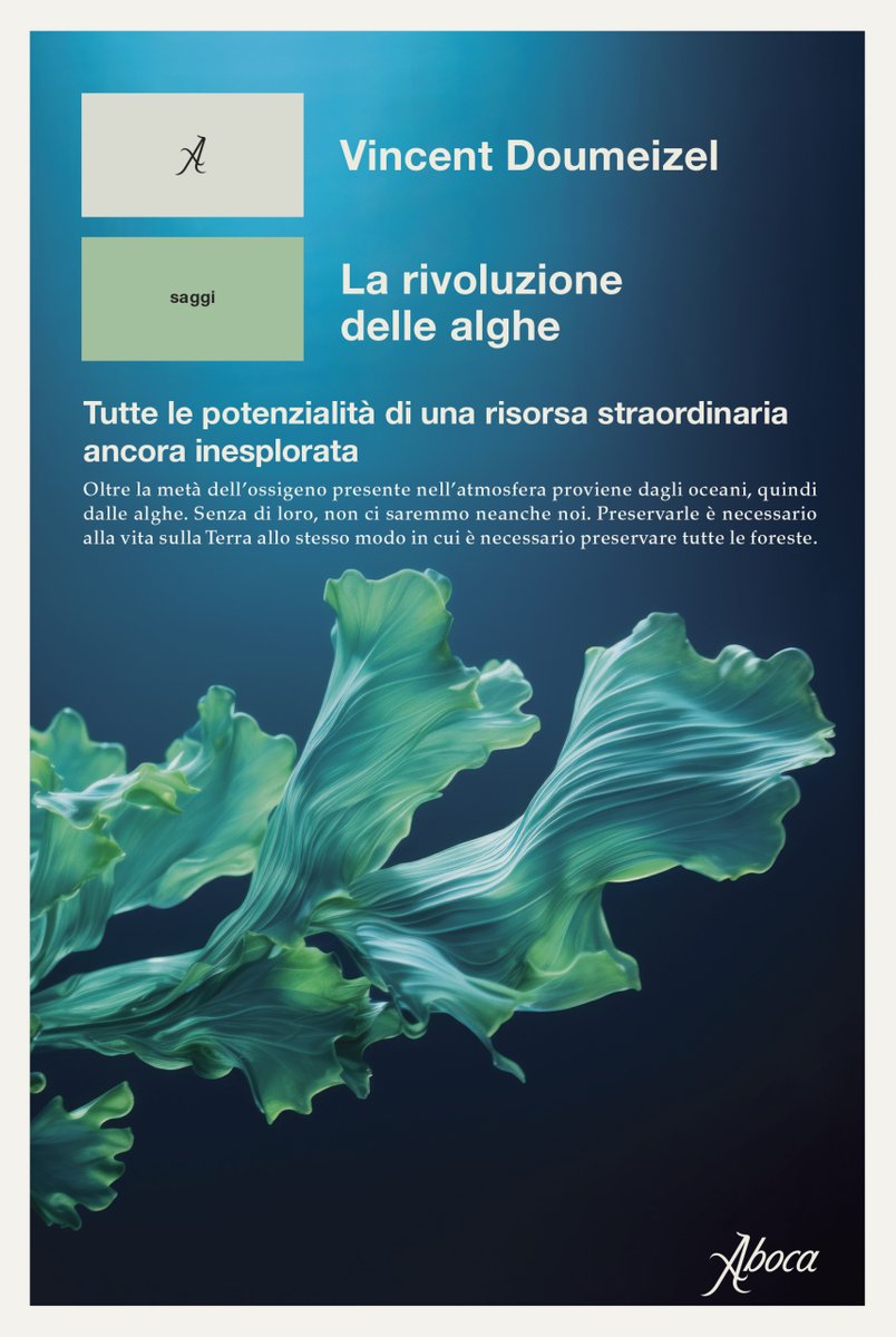 Radio3scienza's tweet photo. Accantonate dall'occidente, celebrate in oriente, le alghe possono aiutarci a superare la crisi climatica, ripulire gli oceani, mangiare tutti e meglio 🌊 "La rivoluzione delle alghe" di Vincent @Doumeizel con @DomDAlelio e #AgneseCodignola ➡️https://t.co/GFsgwl2TLV https://t.co/Glo4VM1yE5