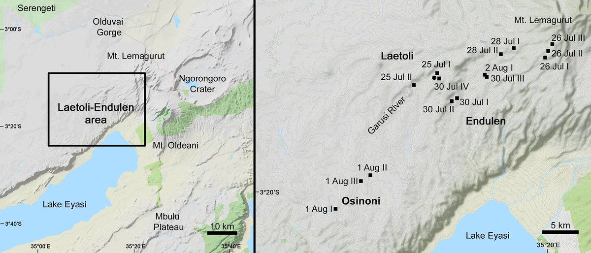 Laetoli, Tanzania: Extant terrestrial mollusc faunas shed new light on climate and palaeoecology at a Pliocene hominin site - new paper in <a href="/PLOSONE/">PLOS One</a> by <a href="/AmgueddfaCymru/">Amgueddfa Cymru | Museum Wales</a> and colleagues #MolluscMonday  doi.org/10.1371/journa…