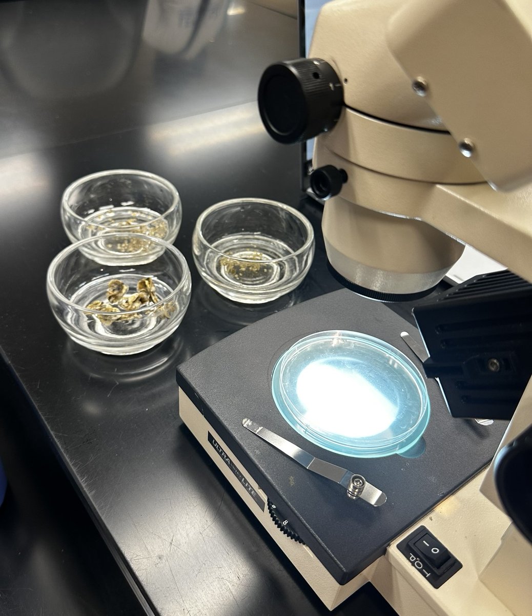 GOVirginia6's tweet image. The @VTCECE Promoting Careers in Aquaculture Project held the first of two S.P.A.T. Open Houses this past Friday at RCC Warsaw. The next open house will be at the RCC Glenns campus June 14th with students from the Middle Peninsula. To learn more visit loom.ly/JEBnQ2g