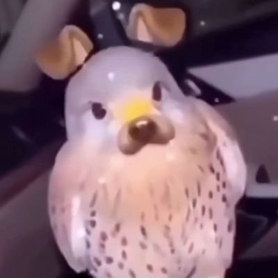 crypticsoup's tweet photo. forgot about this account skibidi toilet https://t.co/fbz0xgxiNj