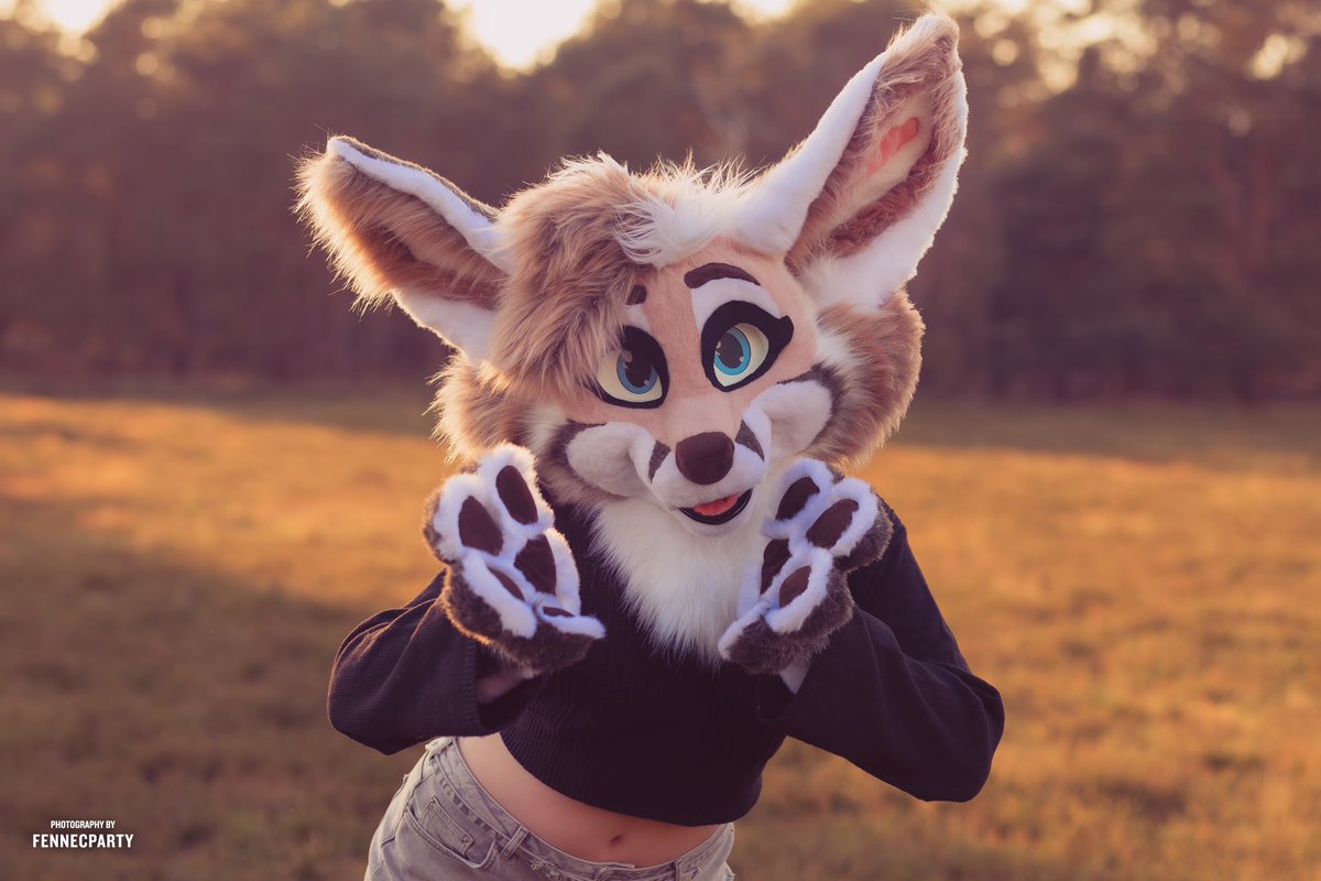 WeMightBite's tweet photo. This rosey fennec is up for auction again at the lowest price I’m willing to go! Can you be their forever home?

You can send me a pm if you have questions 🌸 

https://t.co/OOmWQvyxtA

📸 @FENNECPARTY 
💃 @FuzzyVixen https://t.co/QAn3O9krPE